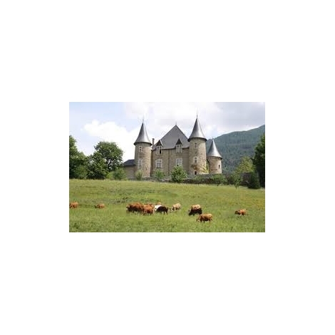 SLVIE GAP - FETE DES MERES