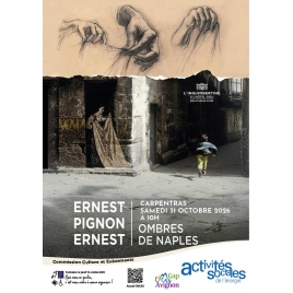 Exposition "Ombres de Naples" - Commission Culture et Evènements
