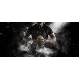 MATCH DE RUGBY MONTPELLIER - BORDEAUX BEGLES