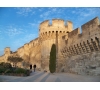 Visite guidée d'Avignon