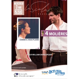 Théâtre - Comme il vous plaira